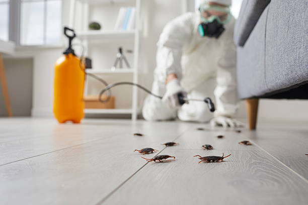 Trusted Rodent Control service in Lake Junaluska, NC - Nex Pest Control